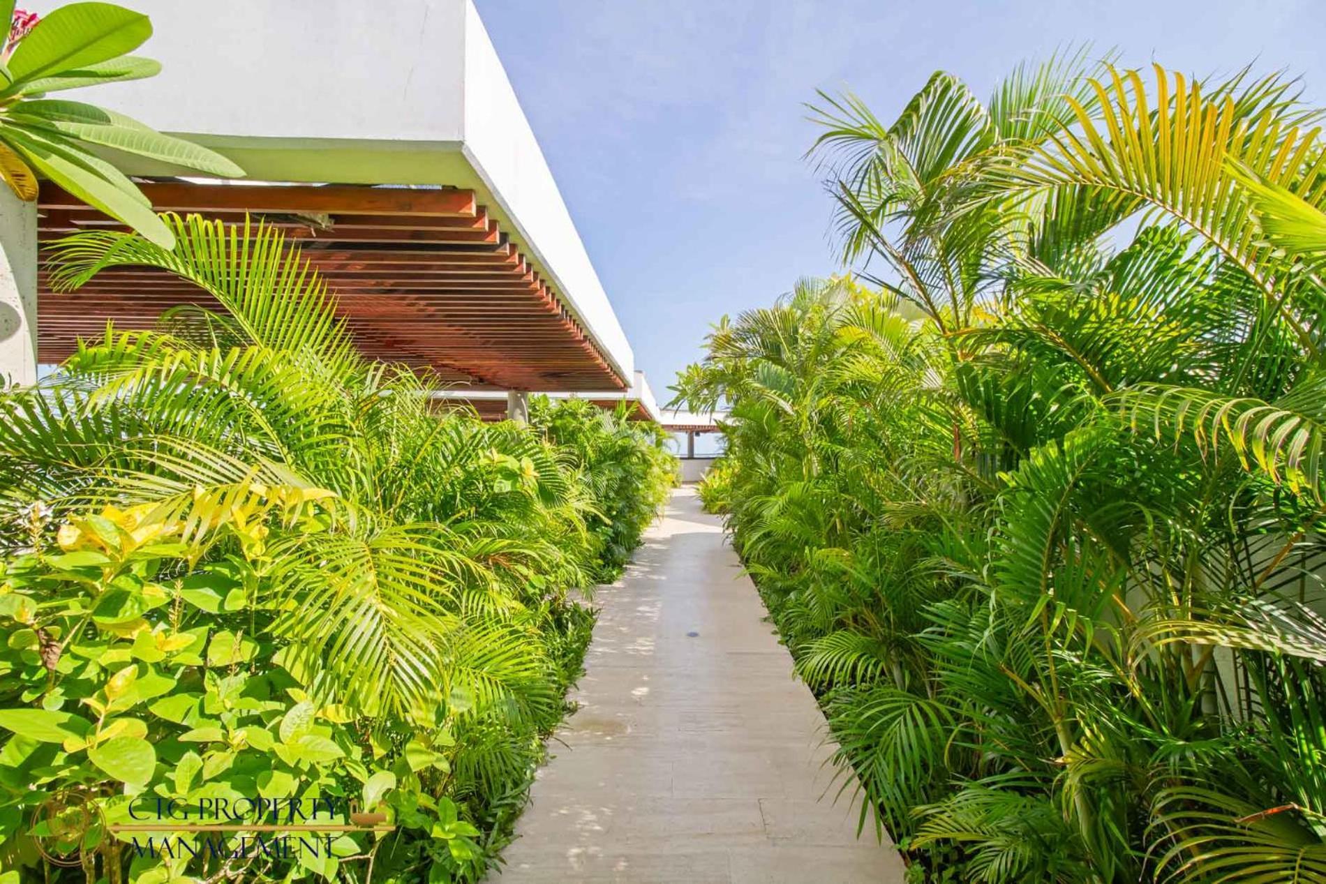 Martinique Cartagena, Beautiful 1 & 2 Bedroom Apartments Экстерьер фото